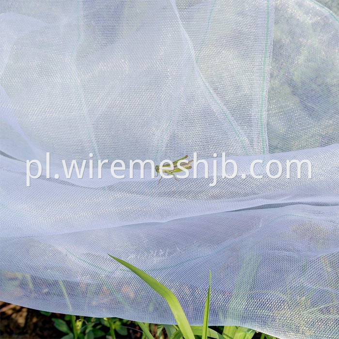 Insect Net Mesh